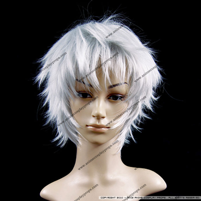 Classic Series Cosplay Silver Wigs