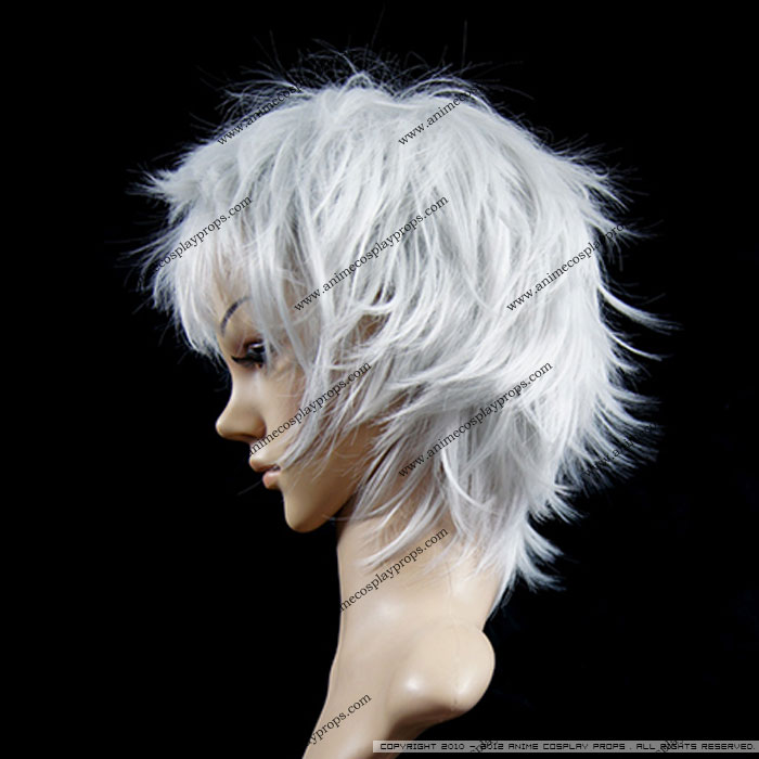 Classic Series Cosplay Silver Wigs