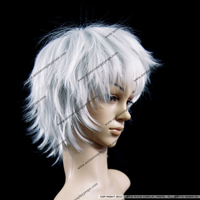 Classic Series Cosplay Silver Wigs
