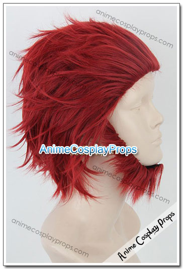 Fate Zero Rider Cosplay Wigs 01