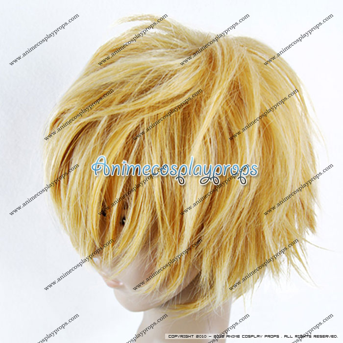 Hitman Reborn Cosplay Belphegor Cosplay Wigs
